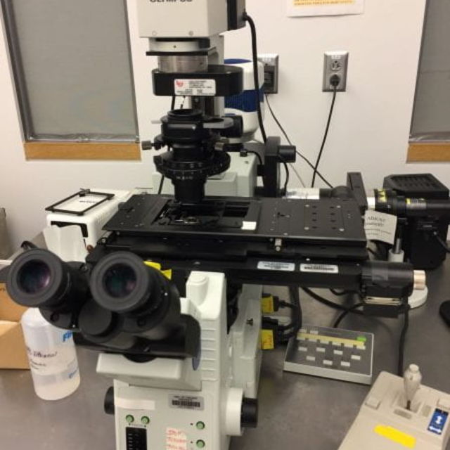 Microscope