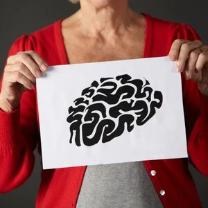 brain drawing